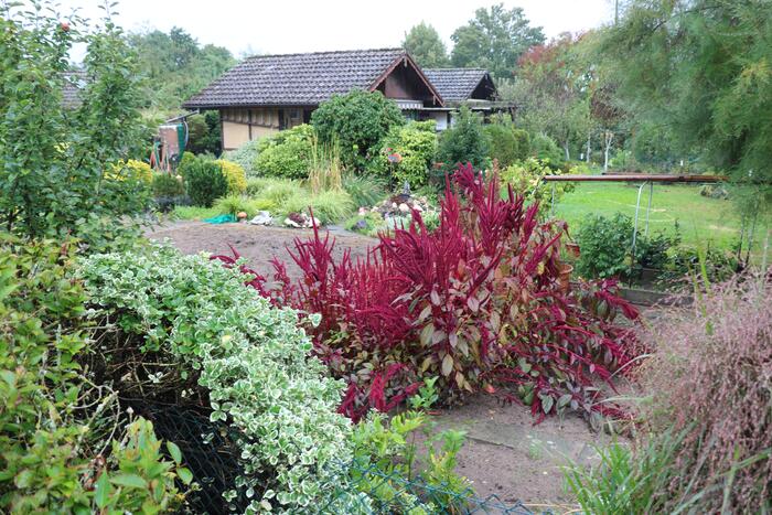 Blick auf einen Kleingarten mit Bepflanzung