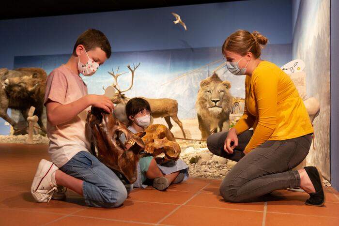 Ein Junge und ein Mädchen bei einer Führung, im Hintergrund ist die Rekonstruktion eines Höhlenlöwen zu sehen
