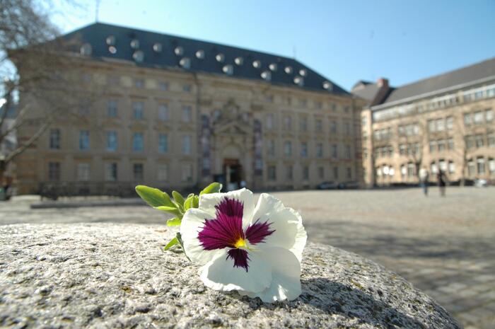 Außenaufname Zeughaus, im Vordergrung Blüte