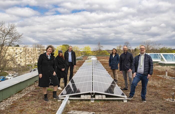 Photovoltaik-Vogelstangschule
