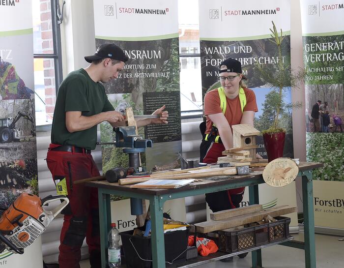 Präsentation der Ausbildung zum Forstwirt/zur Forstwirtin auf der Startklar