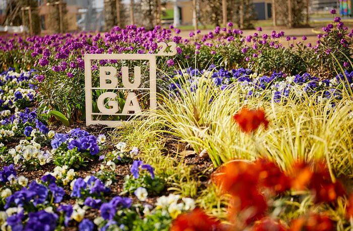 Blütenmeer auf der BUGA 23