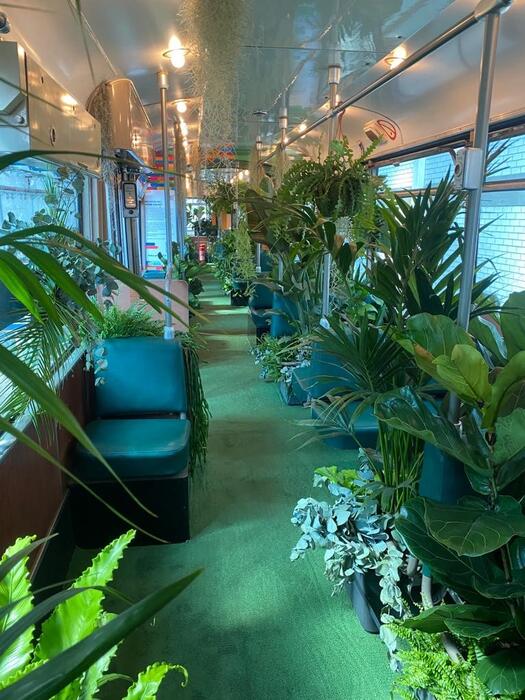 Die grüne Straßenbahn soll verdeutlichen, dass jeder Fahrgast von Bahnen und Bussen einen wertvollen Beitrag für das Klima und die Luftqualität leistet.