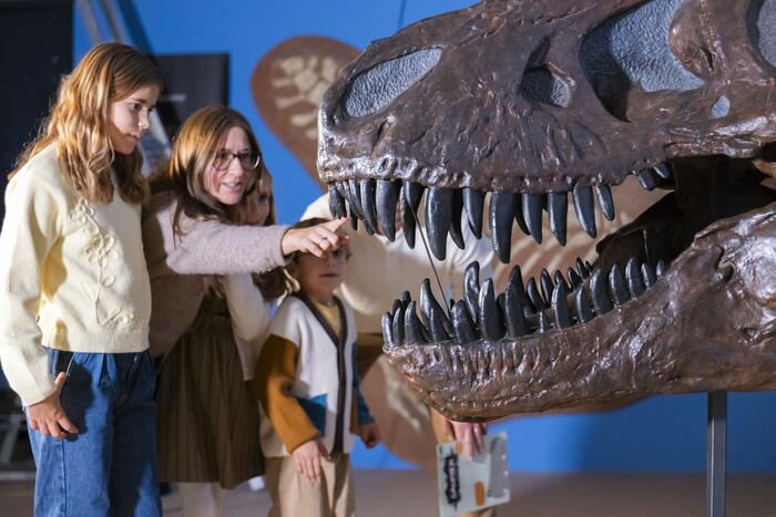 Eine Familie betrachtet den Schädel eines T-rex